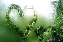 人保车险|车险的分工