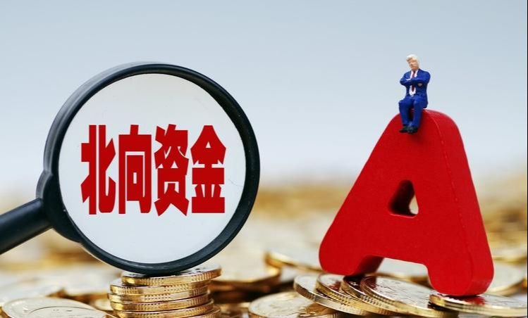 爆冷！“女版巴菲特”持续加仓这家公司！她今年还看好啥？