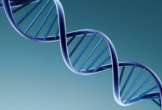 央行邹澜：投资国债并非没有风险