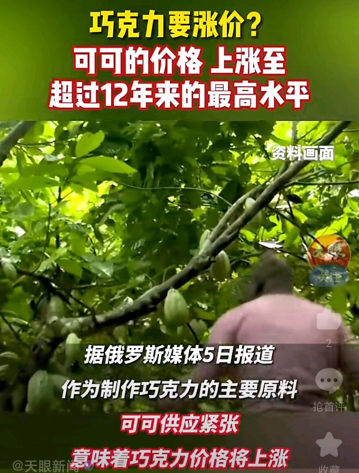 西非可可产量下降导致世界可可价格飙升