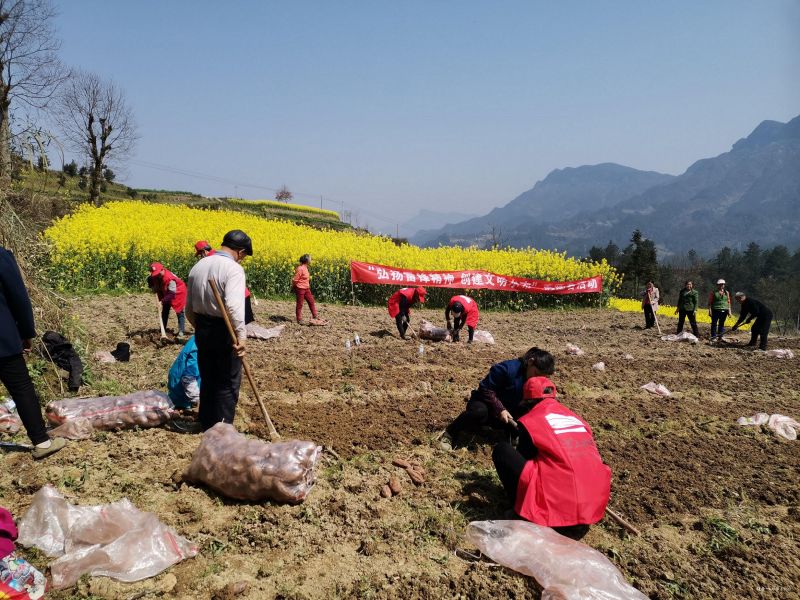 广东落地全国首批债券质押类支农支小再贷款DVP结算业务