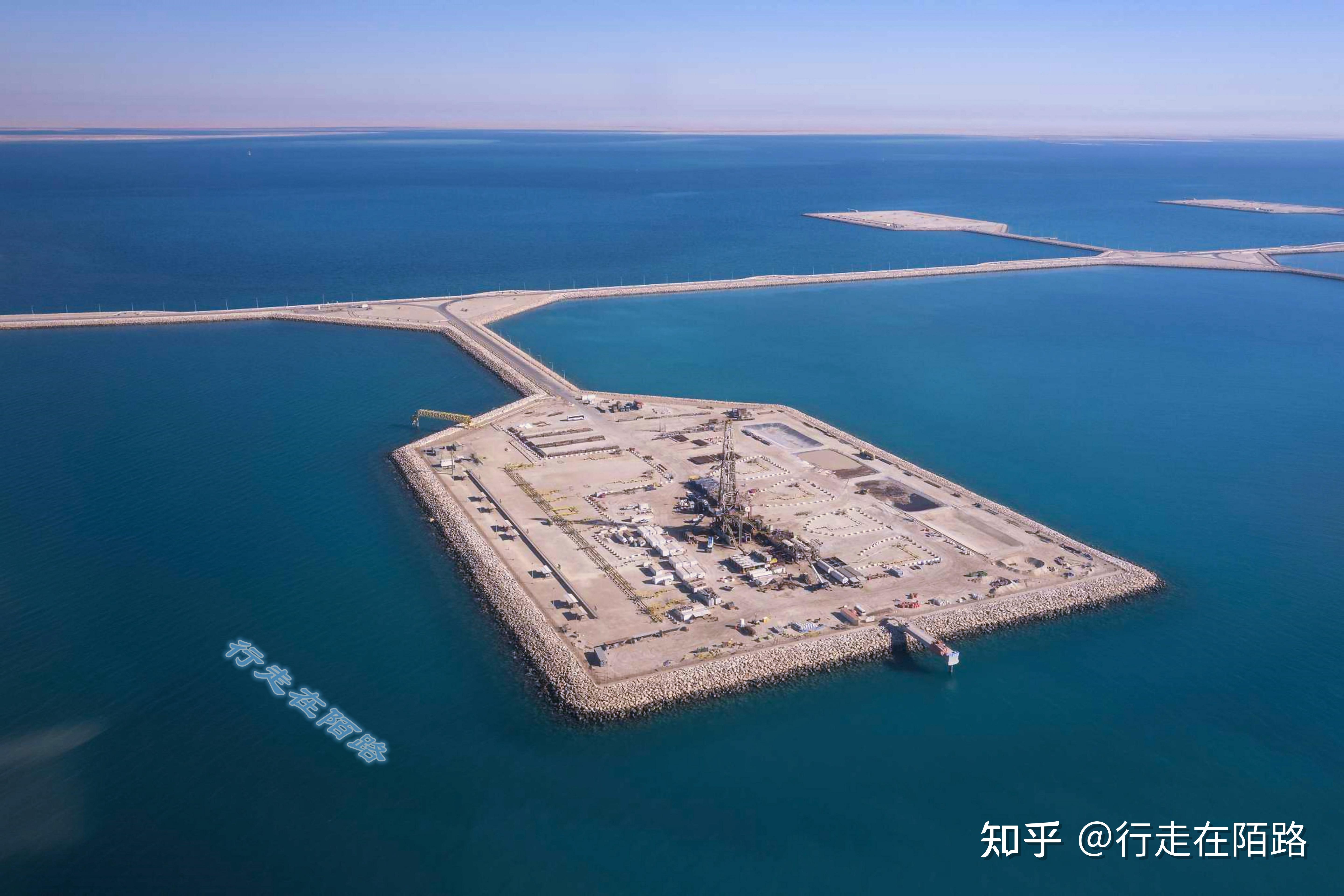 沙特将建中东最大畜牧城