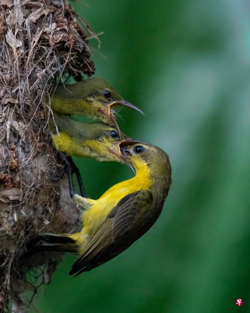 立方风控鸟·早报（2月8日）