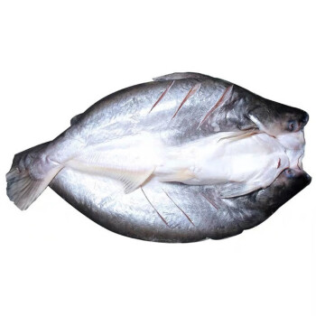 越美就解决查鱼和巴沙鱼反倾销争端达成协议