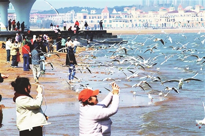 立方风控鸟·早报（2月10日）