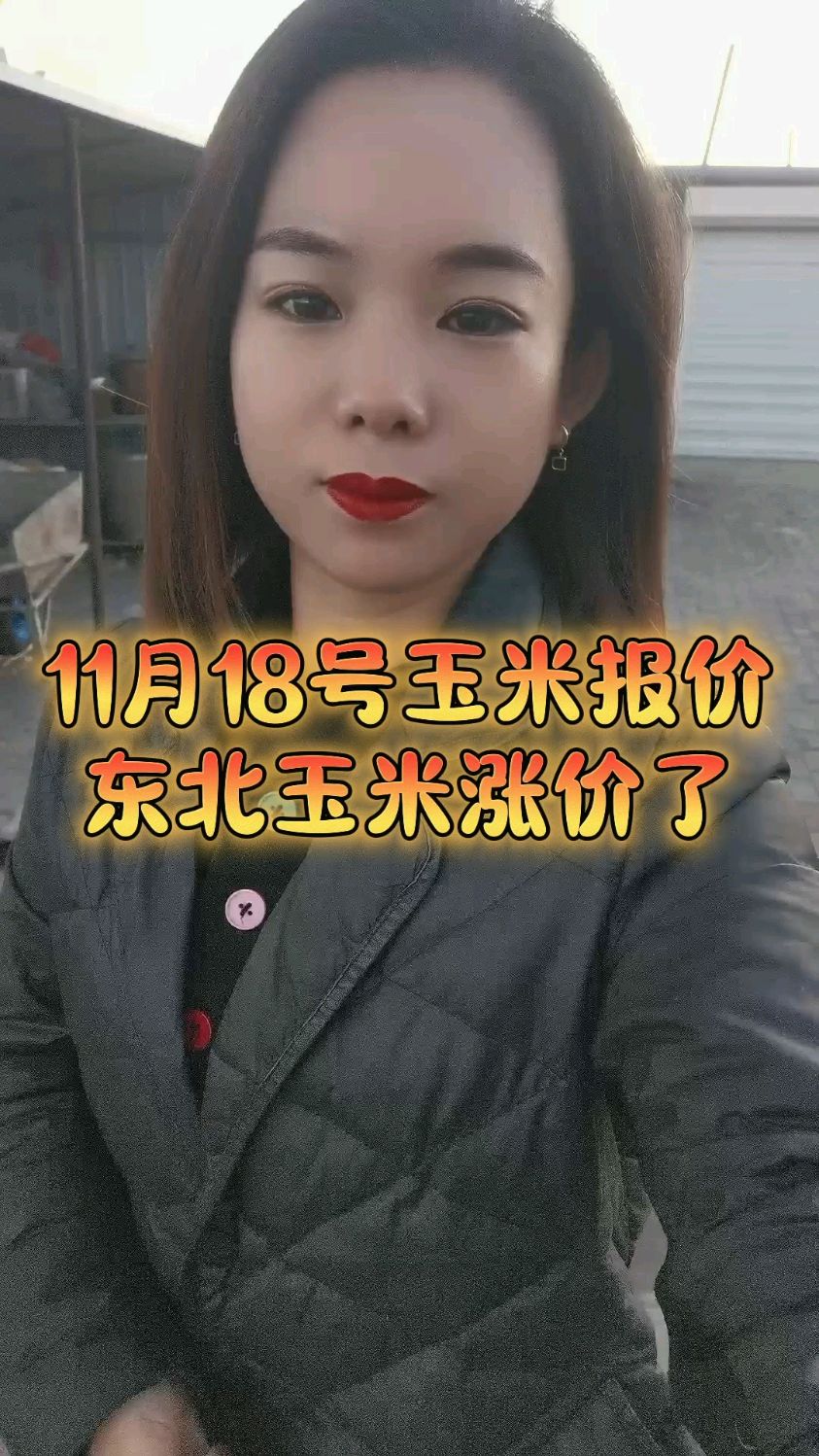 （2025年2月11日）今日玉米期货和美玉米最新价格查询