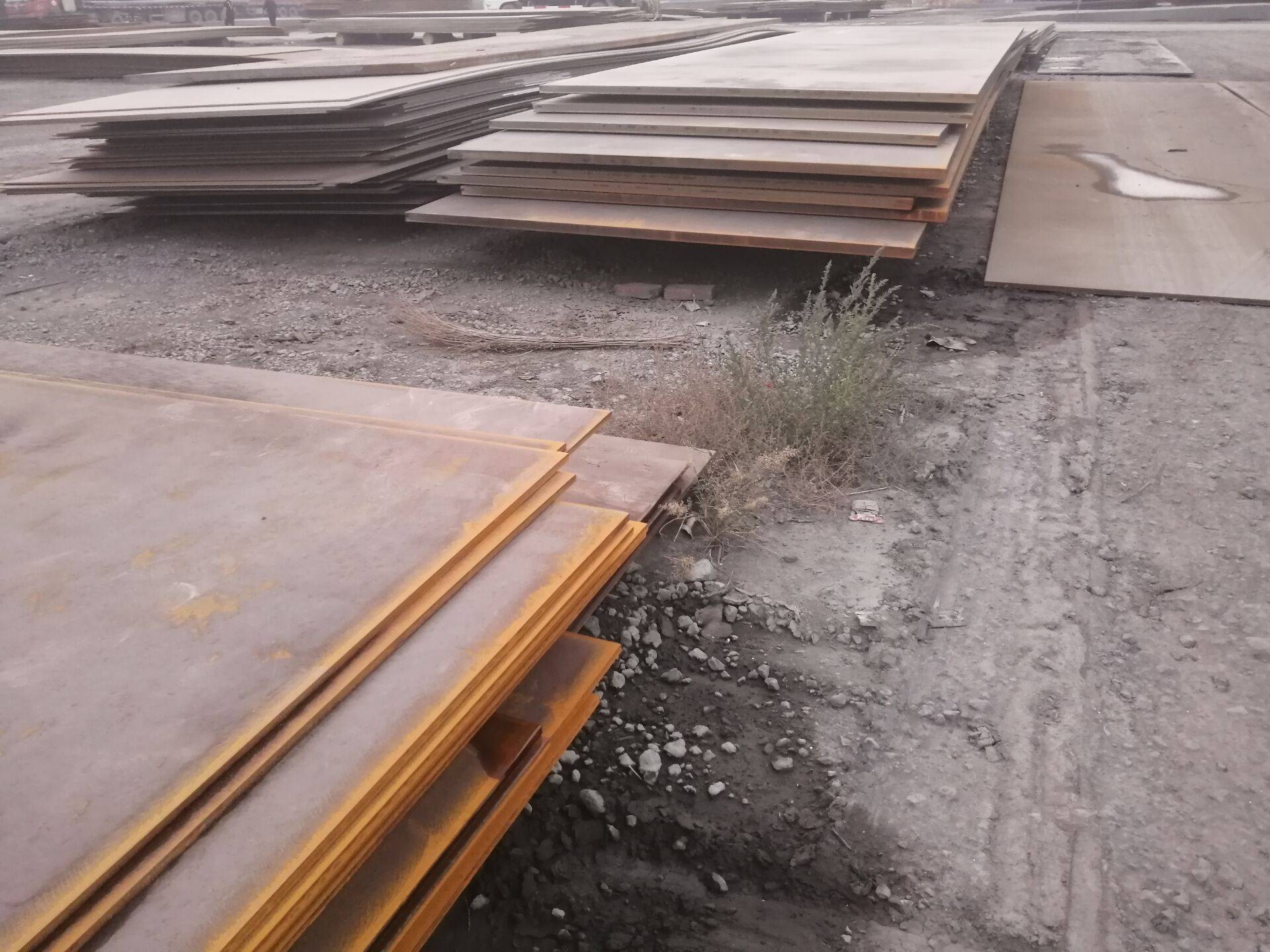 2025年2月13日杭州热轧板卷价格行情今日报价查询