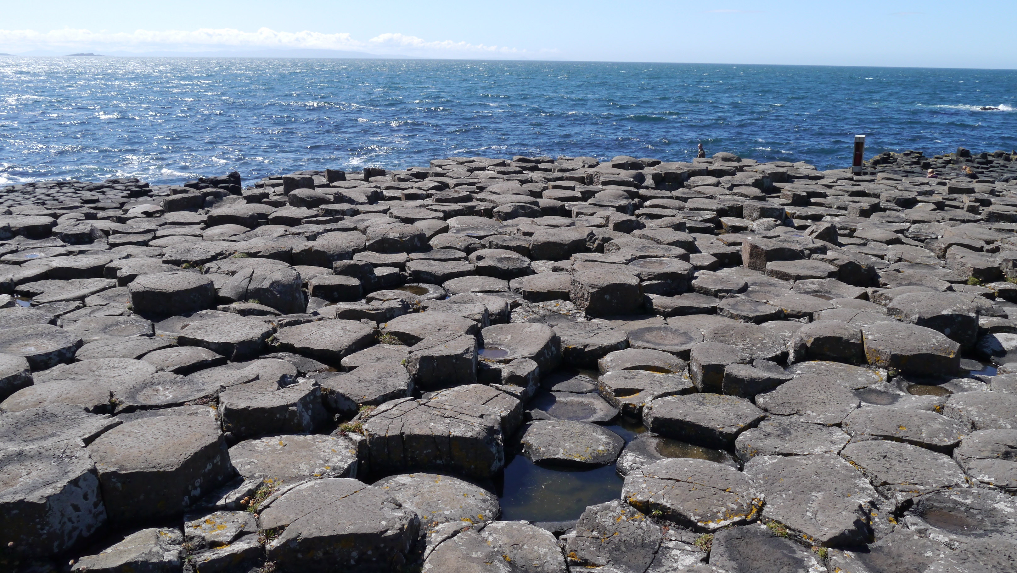 毕马威警告称，特朗普的关税可能直接影响爱尔兰约三分之一的商品出口