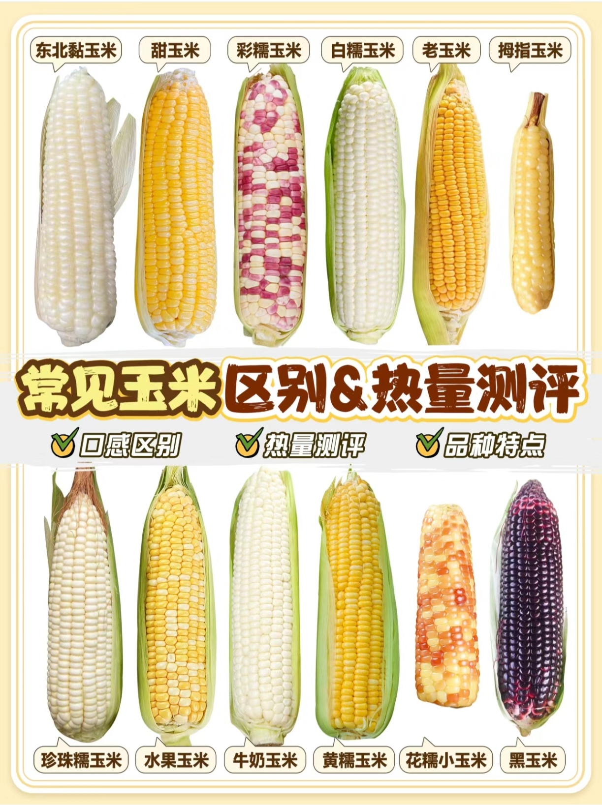 玉米阶段性供强需弱 价格短期或维持震荡