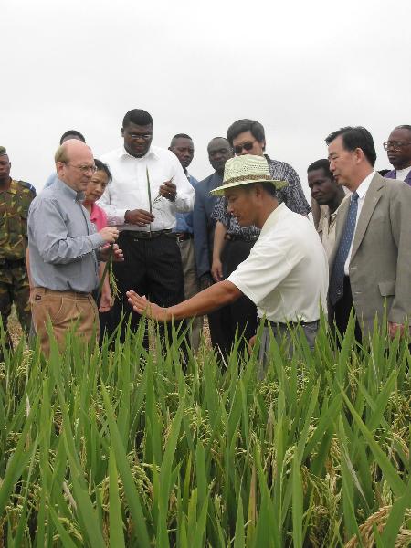 刚果（金）中央银行将基准利率维持在25%