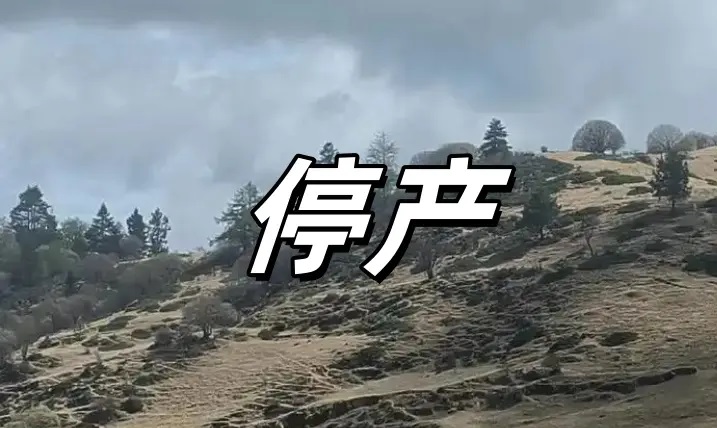 债市公告精选（2月20日）|晨鸣纸业股票将被实施其他风险警示；禹洲集团预计无法按期偿付4亿美元票据