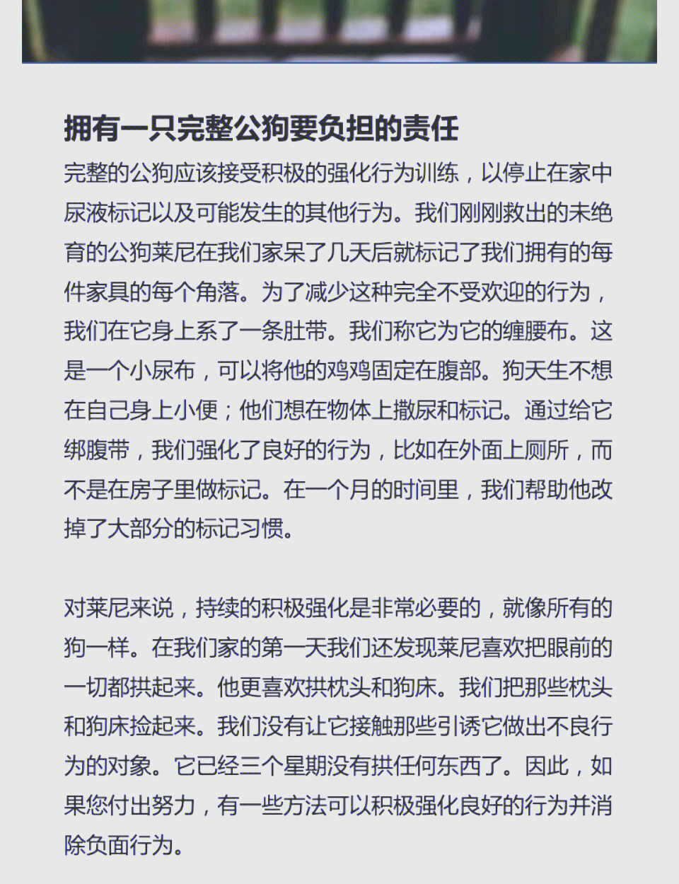 刚果（金）启动四个月的钴出口禁令 应对全球供应过剩危机