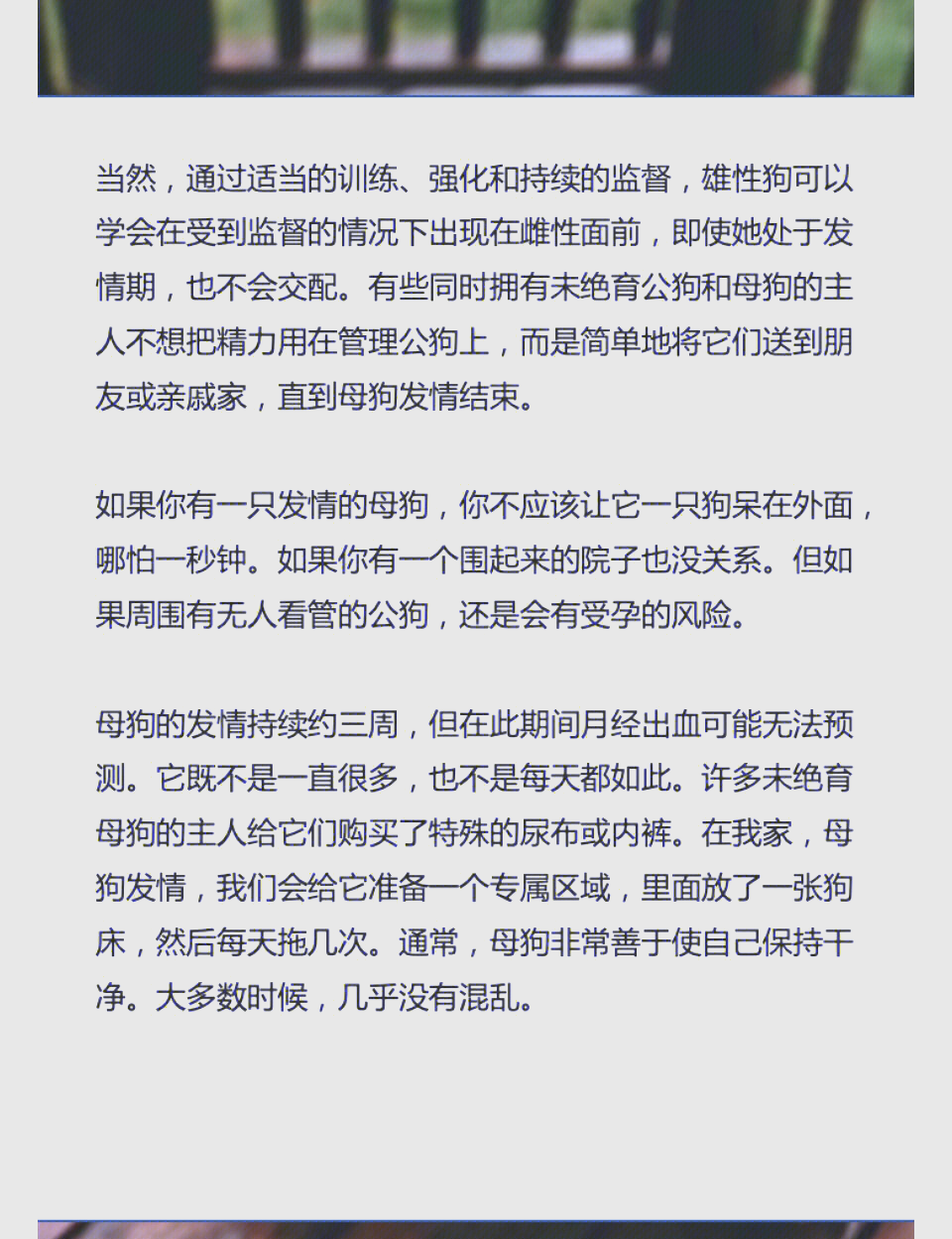 刚果（金）启动四个月的钴出口禁令 应对全球供应过剩危机