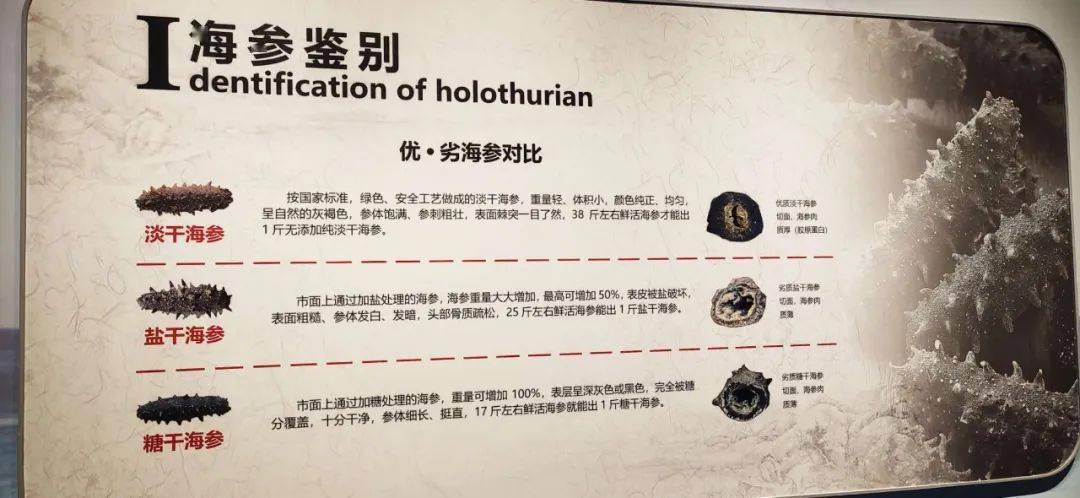 好当家在威海成立参都岛海产品公司