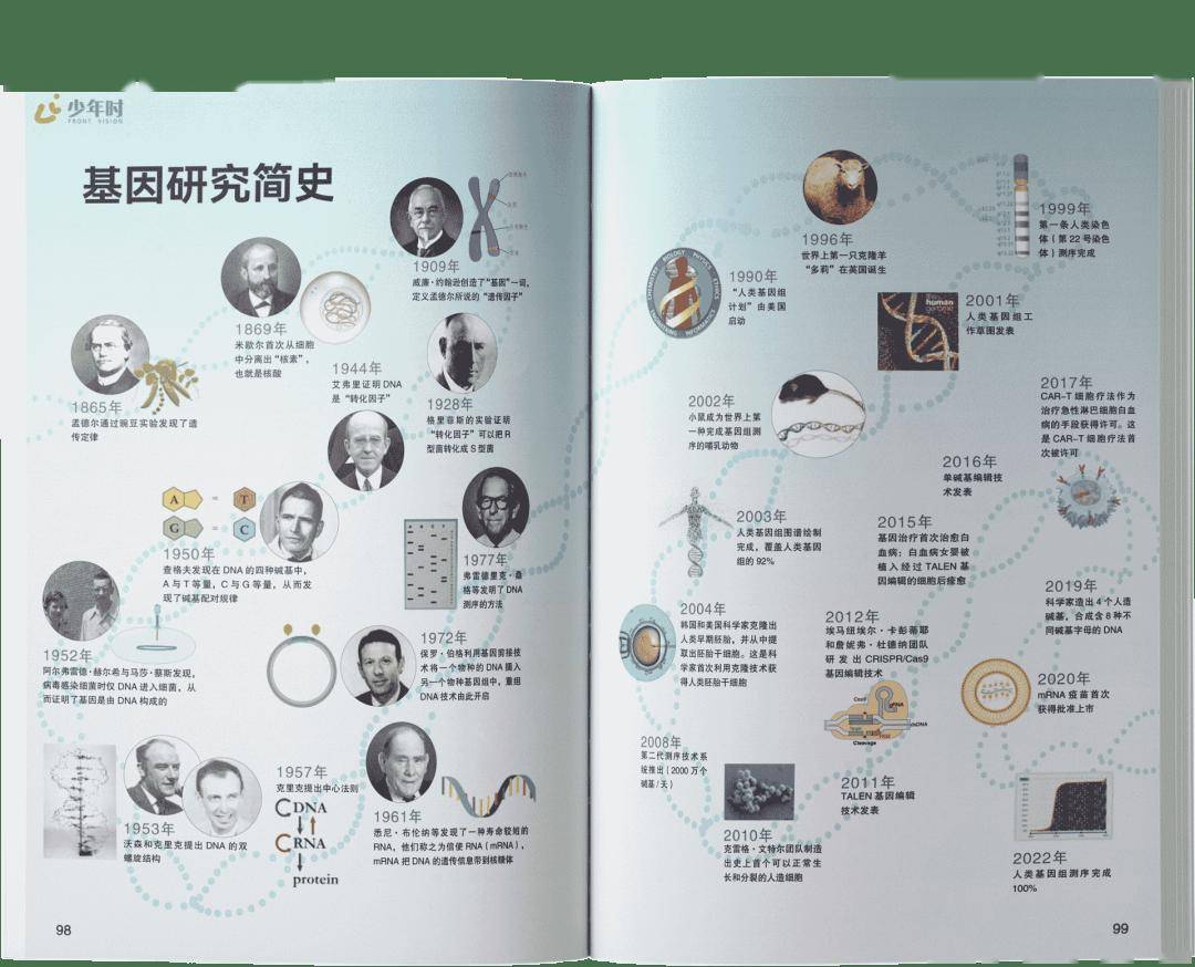 科学家证实大模型能像人类一样“理解”事物