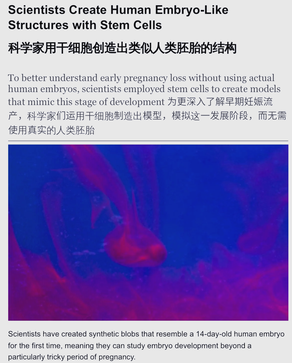 科学家证实大模型能像人类一样“理解”事物