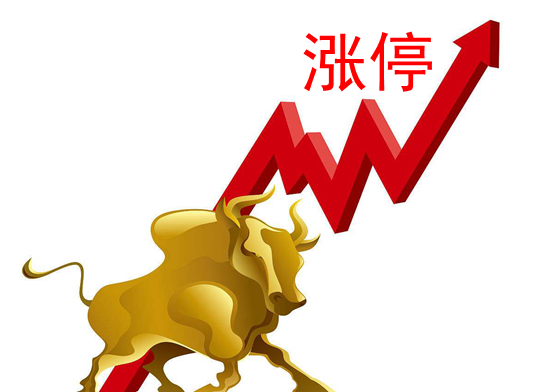 杭可科技盘中涨停