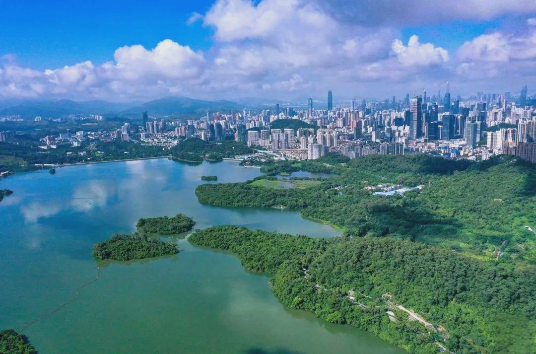 全国首发!深圳样板引领行业转型 《“好房子与美好住区”深圳倡议》树立时代标杆