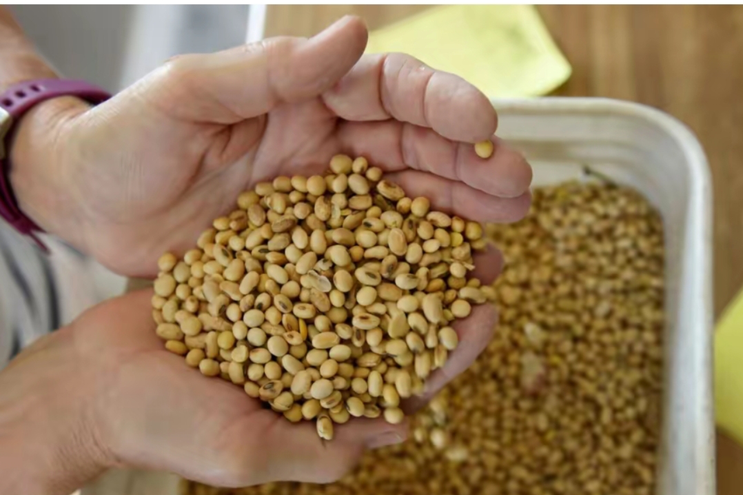 点心债年内发行规模已突破万亿元关口