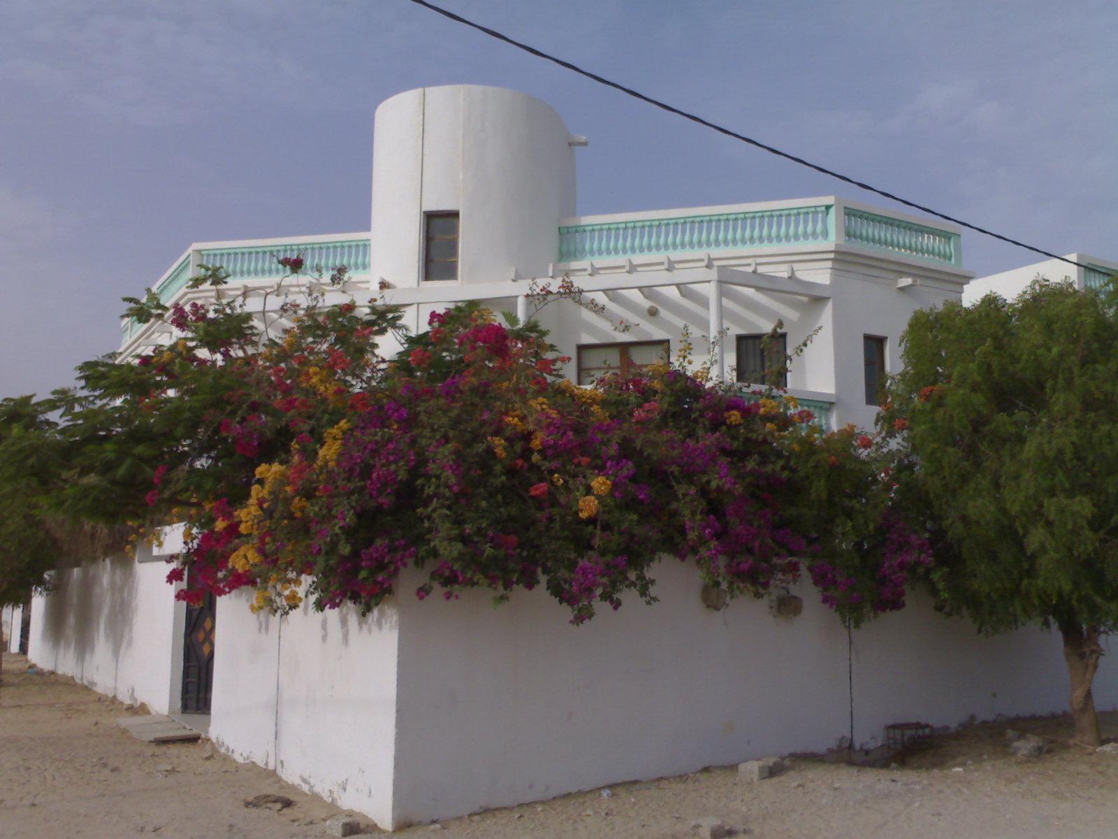 毛里塔尼亚国民议会批准与国际开发协会4630万欧元贷款协议