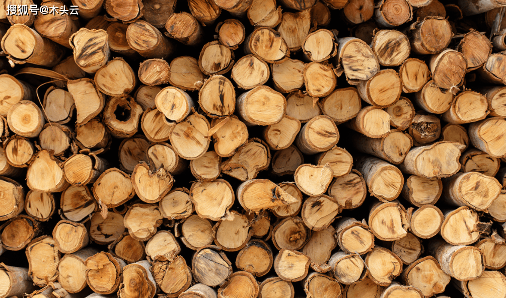 喀麦隆：2025年第一季度木材出口额下降3530万美元