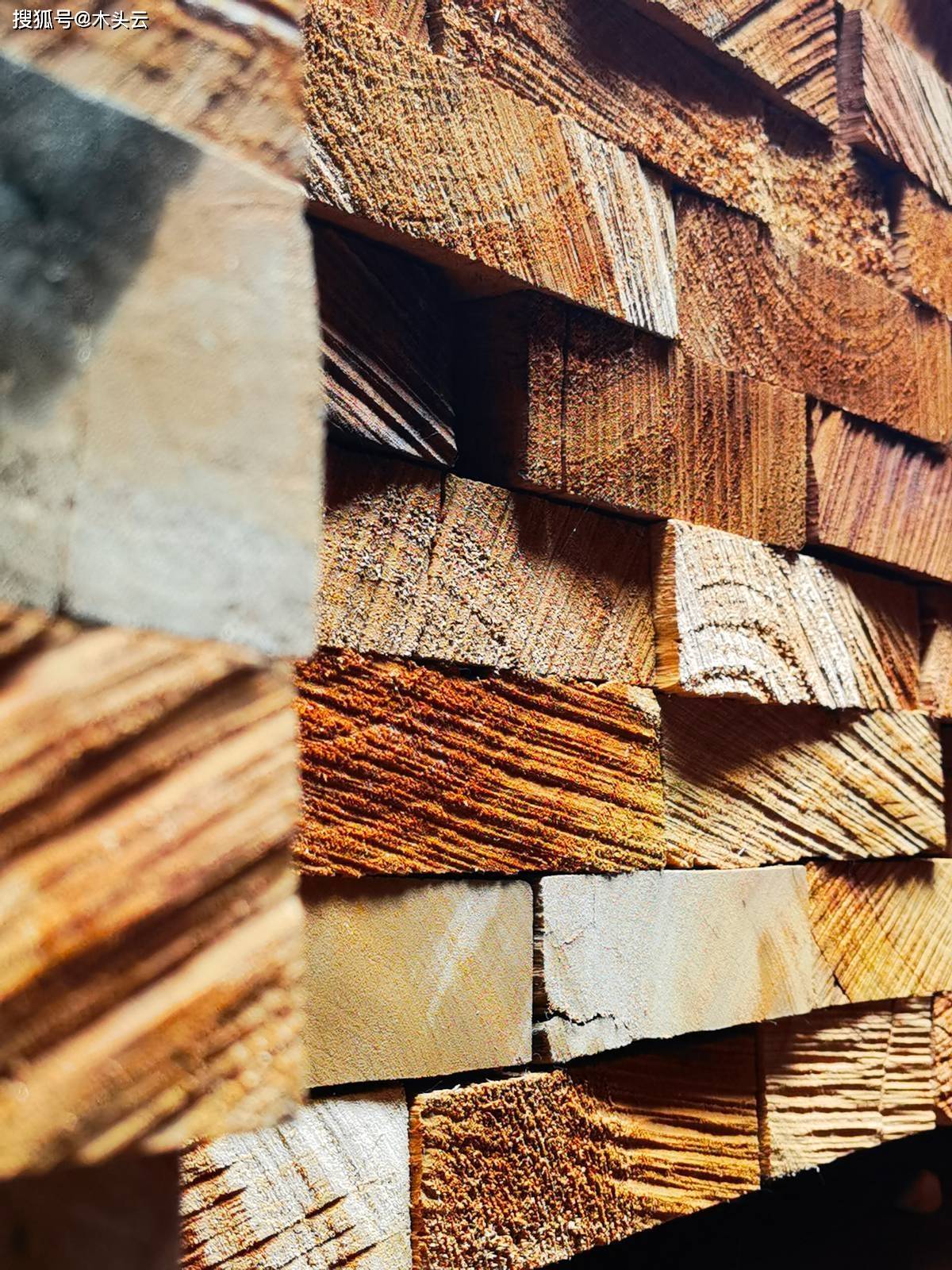 喀麦隆：2025年第一季度木材出口额下降3530万美元