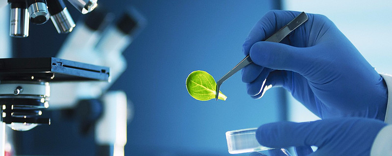 歌礼制药-B(01672.HK)12月12日回购30.00万股,耗资437.38万港元