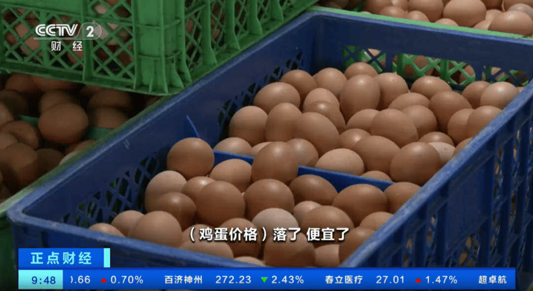 大跳水！18.46万人爆仓！市场风险偏好下降 关键数据即将发布