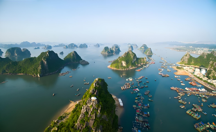 越南加强数字技术应用 赋能森林管理与保护