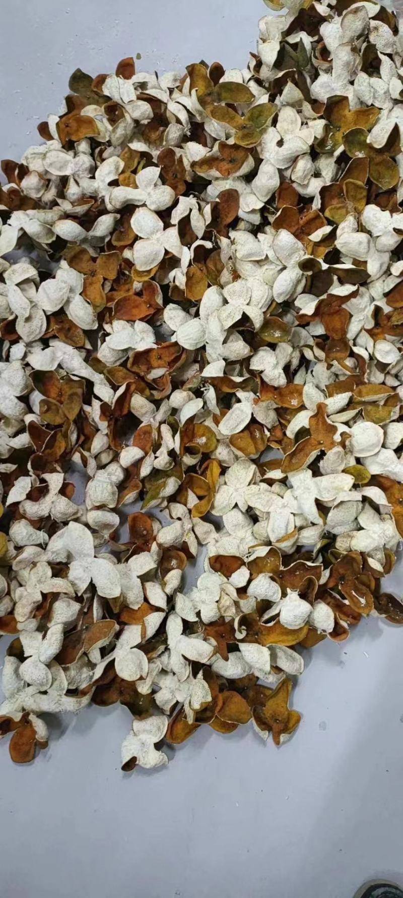 江门市新会区通报“陈皮产地造假等问题”：将依法从严从快对6家涉事企业作出处理