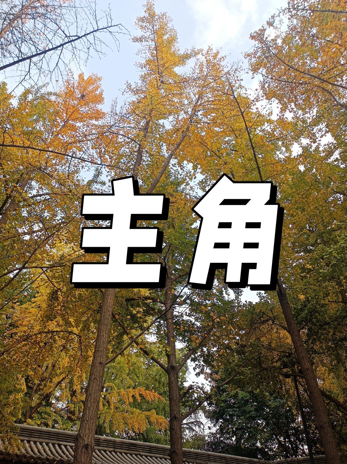 从“配角”到“主角” 点心债市场质变