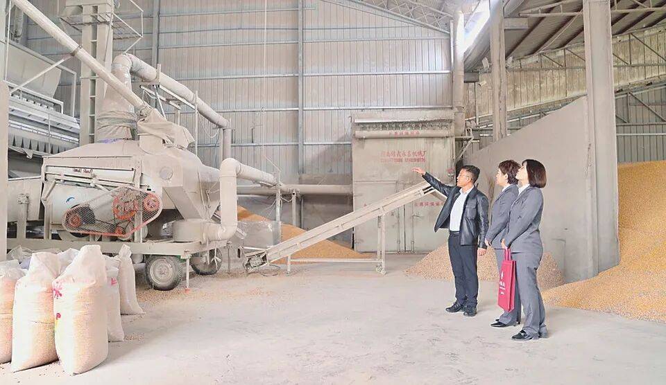 5000亿金融活水精准滴灌 河南交易所市场债券绘就“长钱图谱”