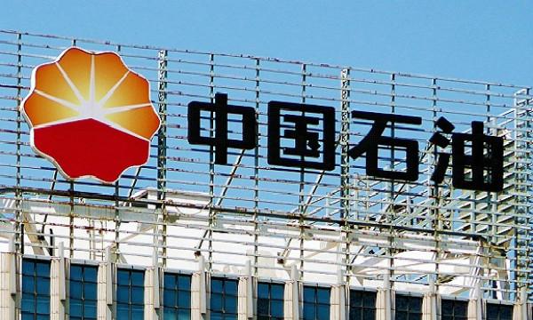 中国石油等在内蒙古成立石油天然气勘探开发公司