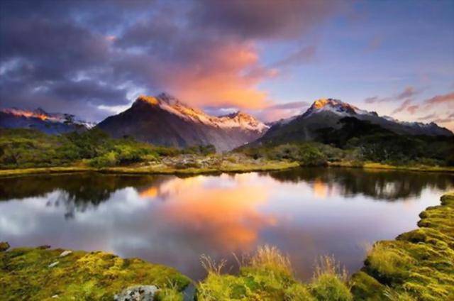 新西兰国会通过《海外投资法》修正案