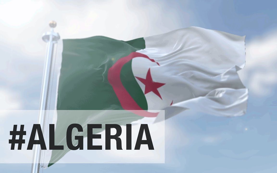 阿尔及利亚干旱加剧饲料短缺 养殖户集中采购大麦和麦麸