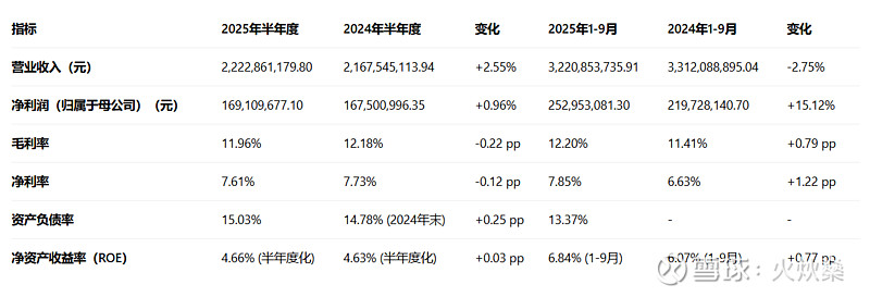 伟时电子：2025年净利润同比预降53.27%―61.61%