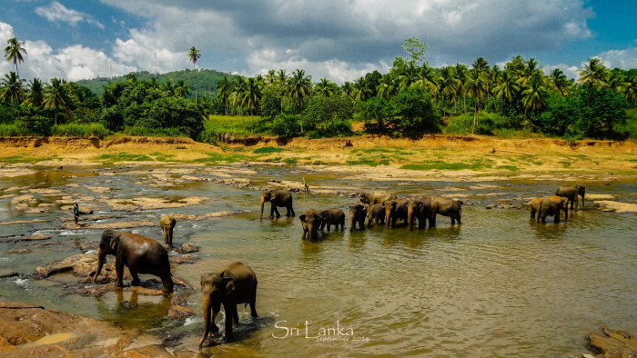 游客人均消费下降 斯里兰卡计划发展高端旅游拉动收入