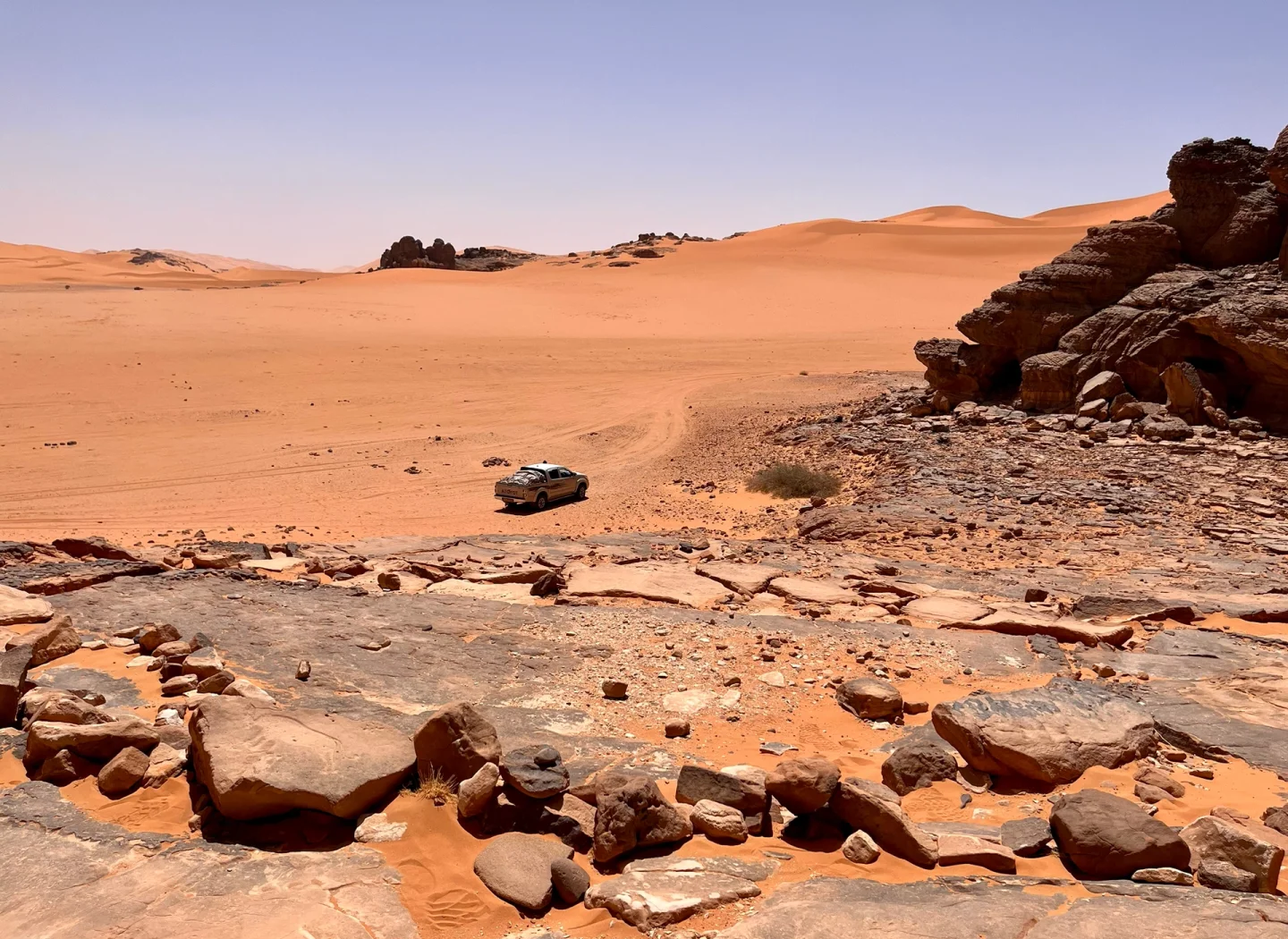 阿尔及利亚启动制药原料本土生产计划