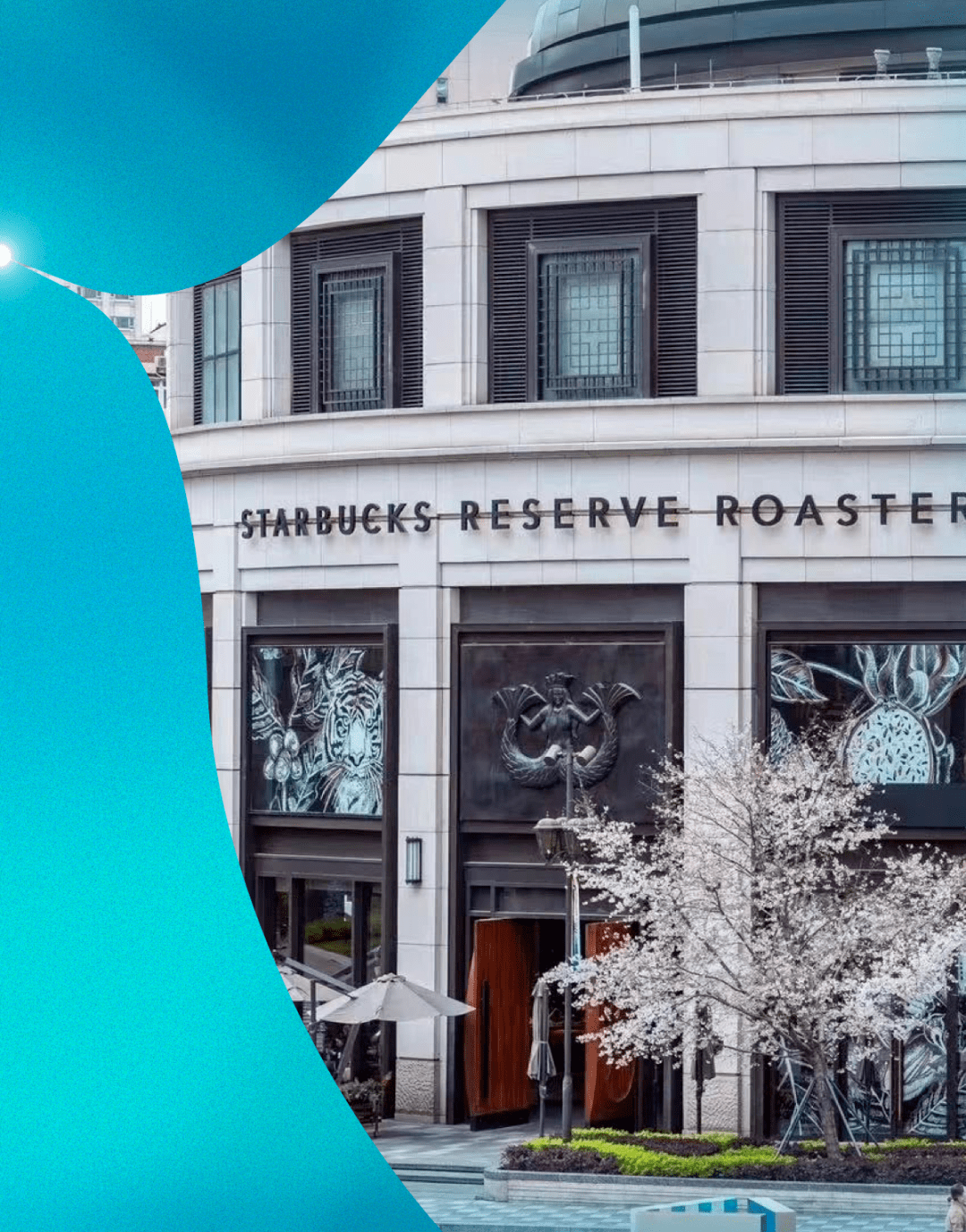 加纳可可供应链获国际金融公司注资