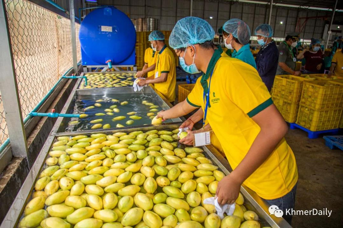 柬老签署跨境运输协议 协助柬农产品出口中国