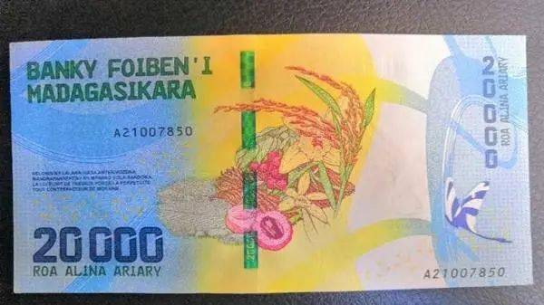 加纳塞地跃升2025年非洲最强货币