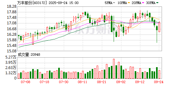 万丰股份龙虎榜数据（2月12日）