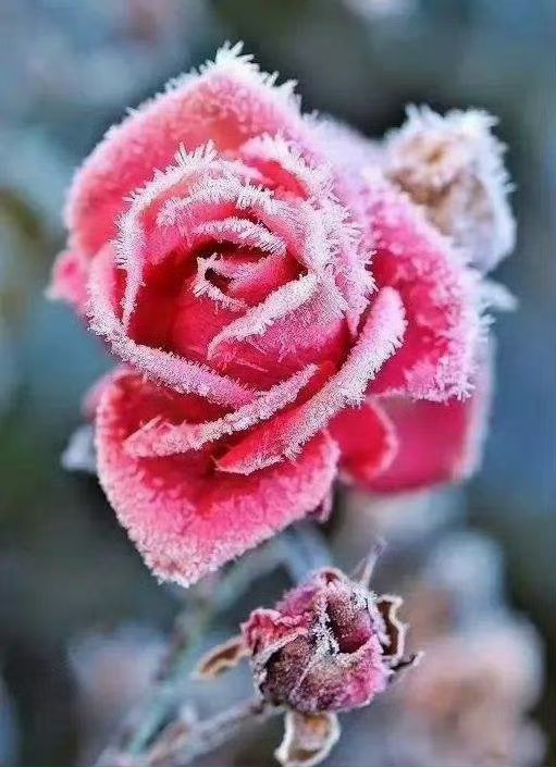 国家统计局:2月上旬磷酸铁锂(普通动力型)价格环比下跌11.9%