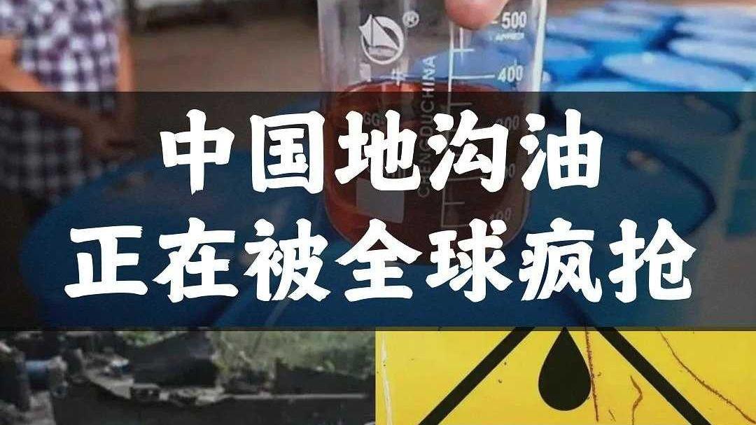 谷歌债券遭全球疯抢 但保护条款“缺席”引发隐忧