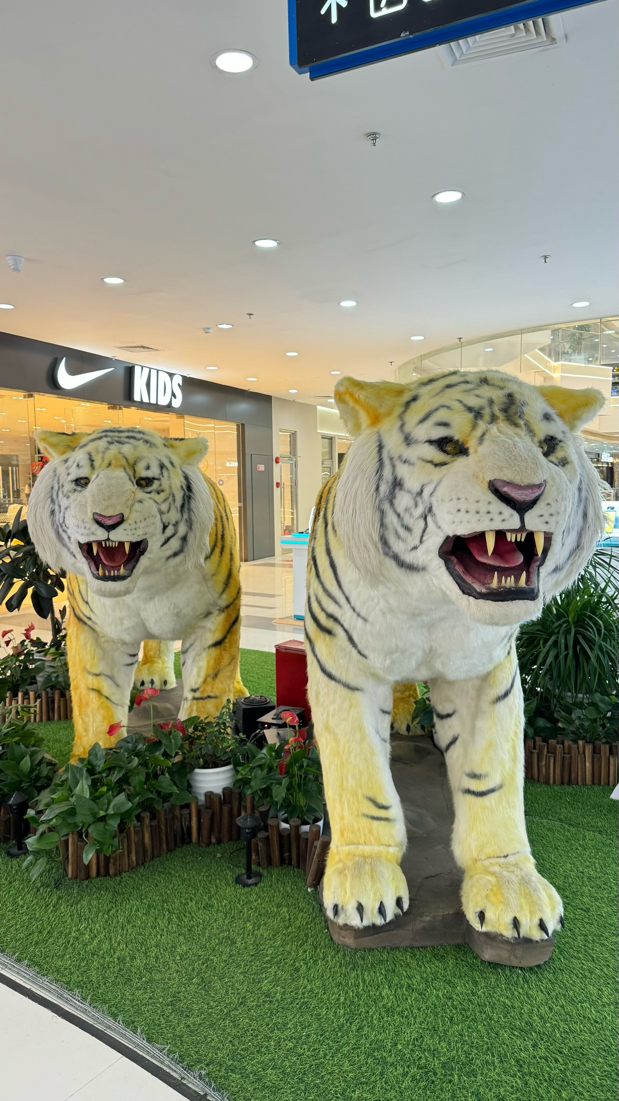 “24中山K1”将于2月26日付息