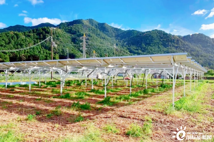 伯特利在德国设立全资子公司 从事汽车安全系统各类组件销售等