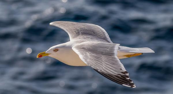 立方风控鸟·早报（2月27日）