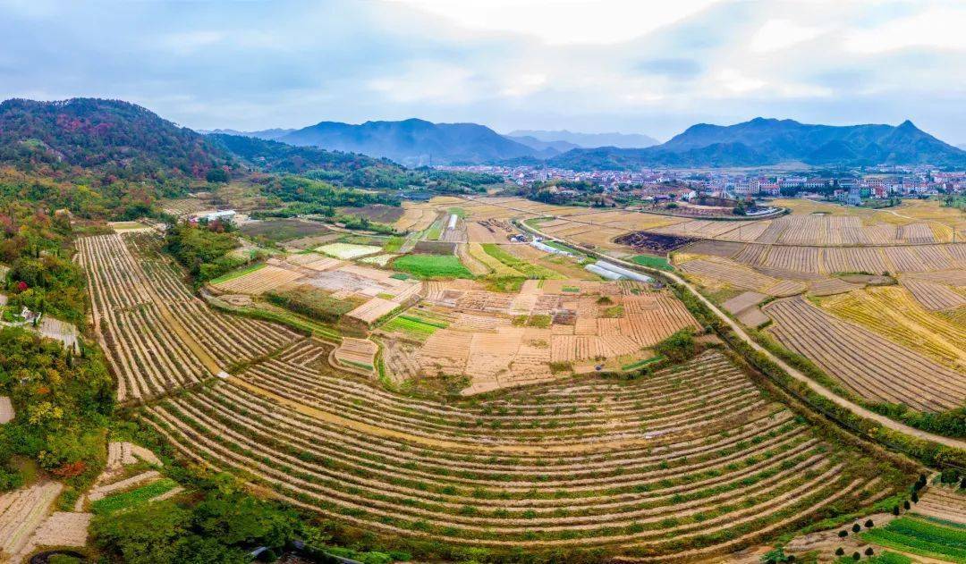 罗马尼亚农业用地交易量价齐升，土地价格创历史新高