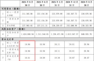 新安银行百万罚单暴露内控短板，资本消耗过快引风险隐忧