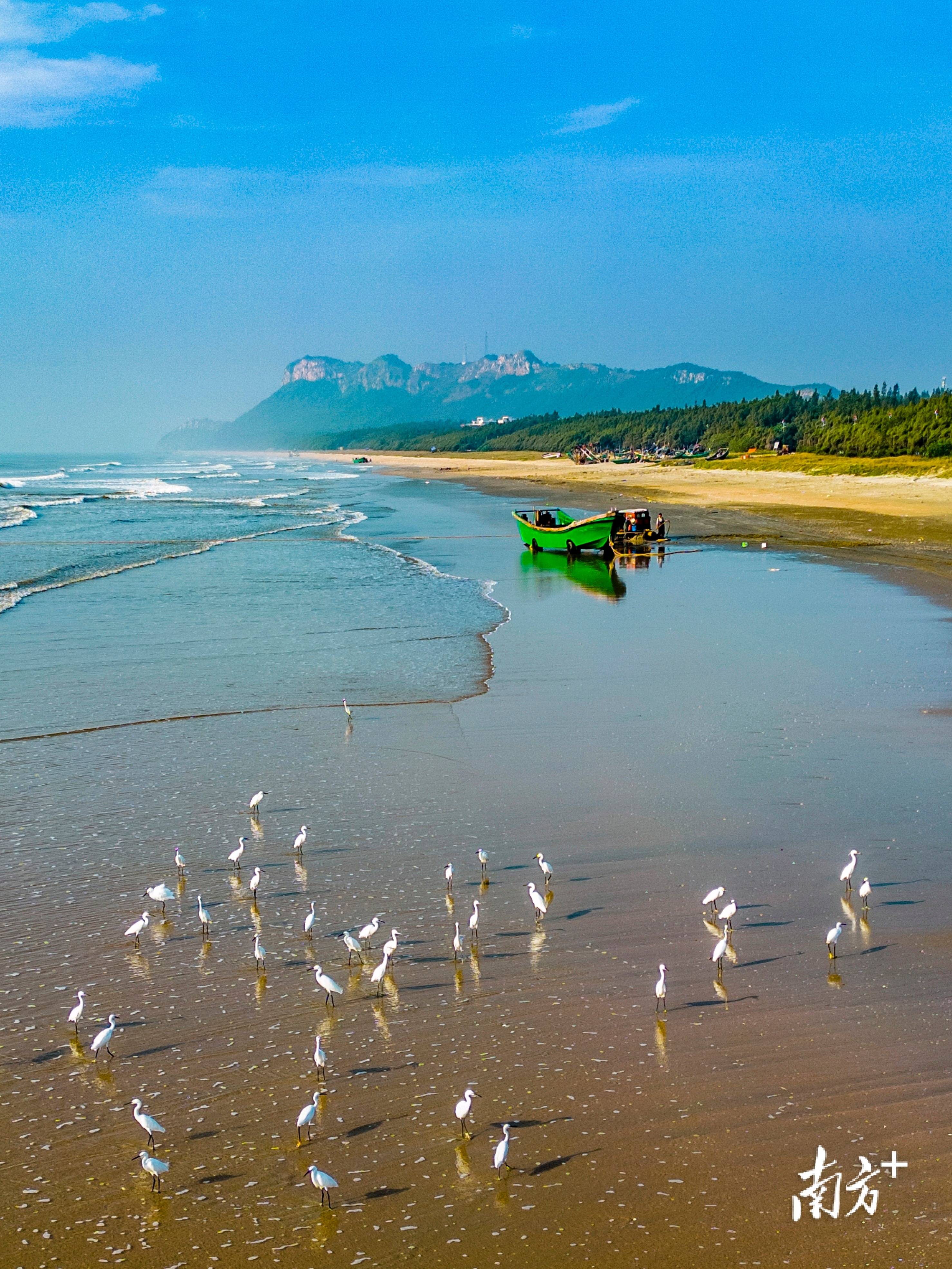 加纳启动大型海岸带韧性建设项目